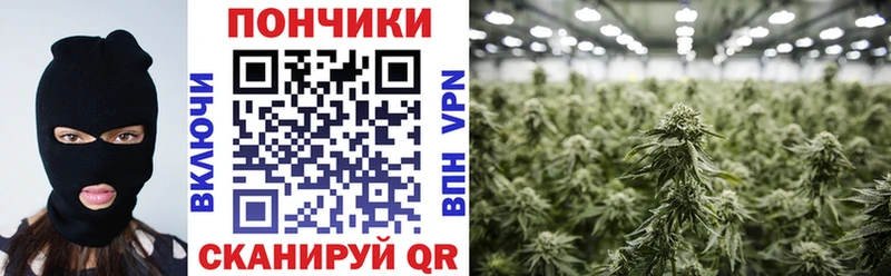 Наркотические вещества Оха А ПВП Мефедрон АМФЕТАМИН COCAIN Гашиш