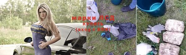 ALPHA PVP Бородино