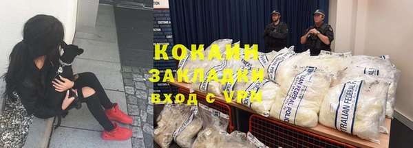 тгк Бронницы