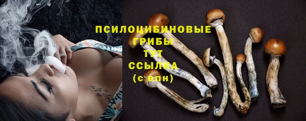 соль ск Бугульма