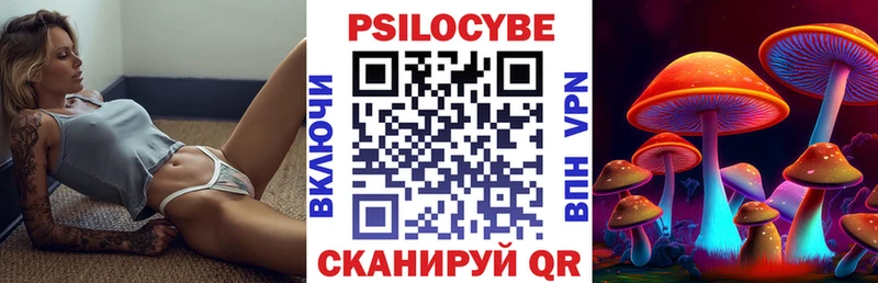 Псилоцибиновые грибы GOLDEN TEACHER  продажа наркотиков  blacksprut ONION  Оха 